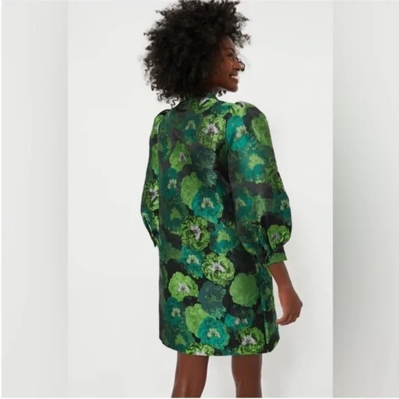 NEW Pomander Place Tuckernuck green floral jacquard Samantha dress puff sleeves - Picture 3 of 13